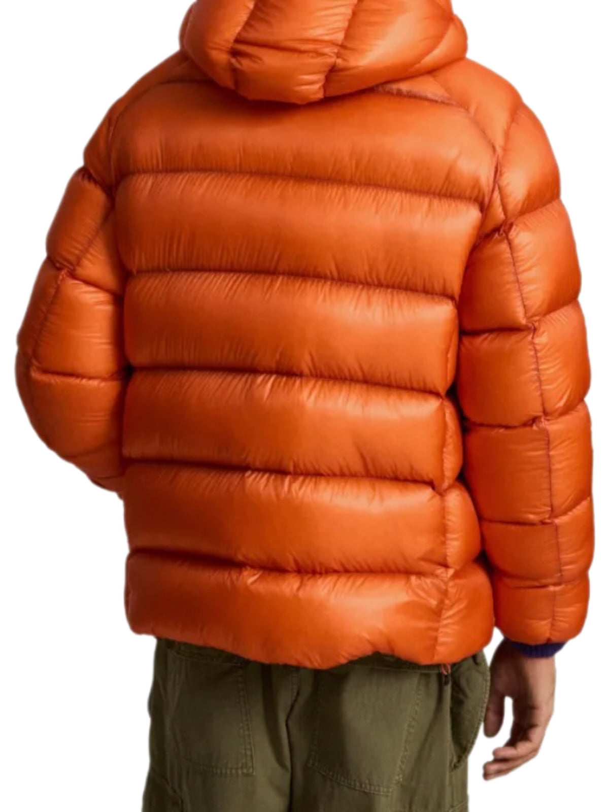 Abrigo Ralph